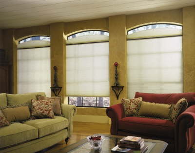 Eyebrow windows require templates and are best done with the help of a window treamtent specialist