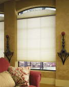 EcoSmart Cellular Shades available in many sizes and shapes